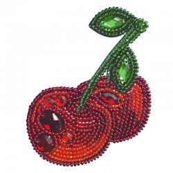 Kit Broche de Broderie...