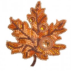 Kit Broche de Broderie...