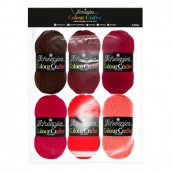 Pack de 6 Pelotes Scheepjes...