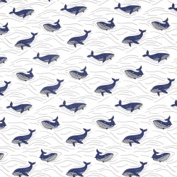 Tissu Jersey Katia - Whales