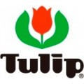 Tulip Needles